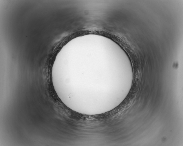 X0000103451398200810031425