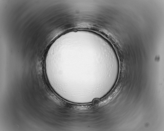 X0000103451401200810031425