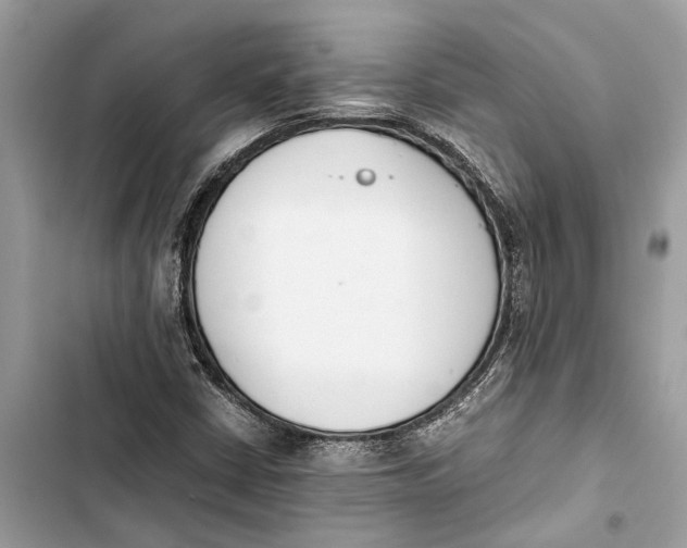 X0000103451402200810031425