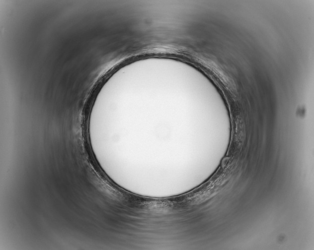 X0000103451404200810031425