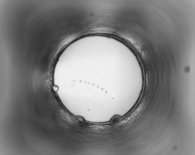 X0000103451405200810031425