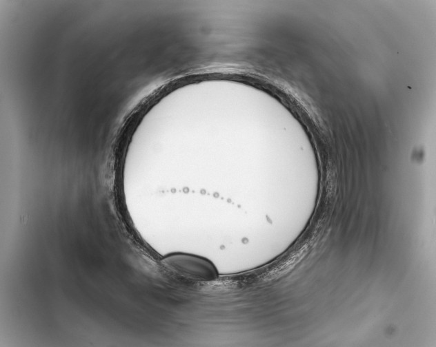 X0000103451406200810031425