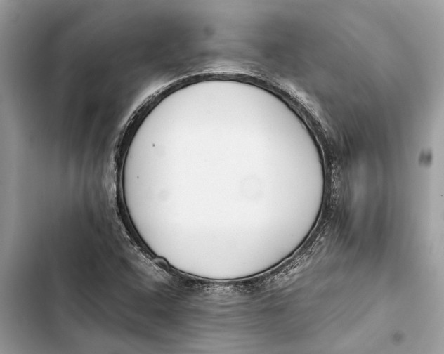 X0000103451408200810031425