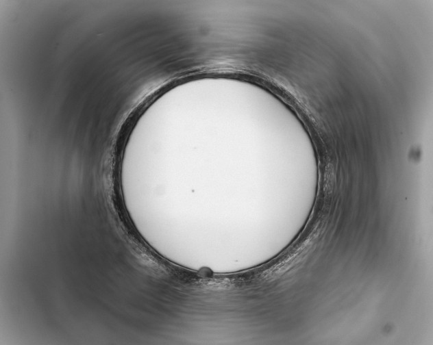 X0000103451410200810031425