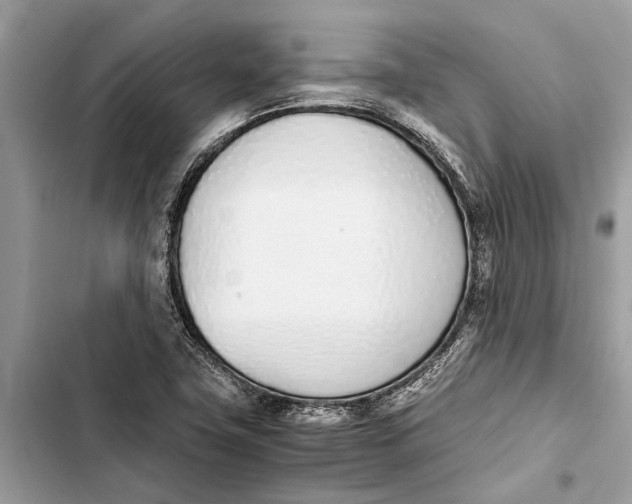 X0000103451411200810031425