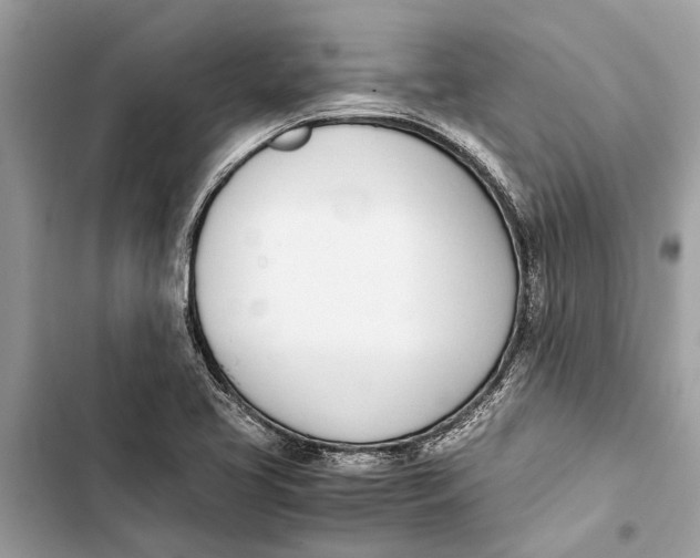 X0000103451413200810031425