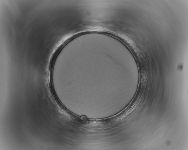 X0000103451414200810031425