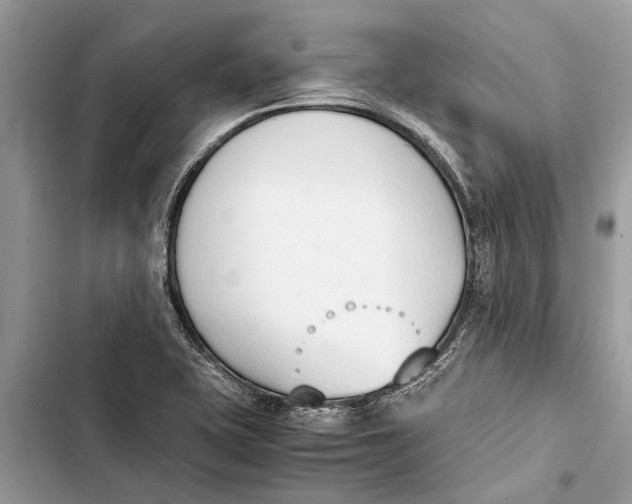 X0000103451415200810031425