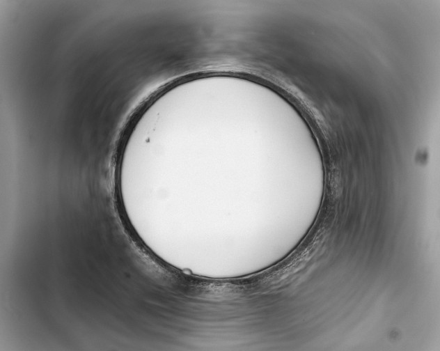 X0000103451416200810031425