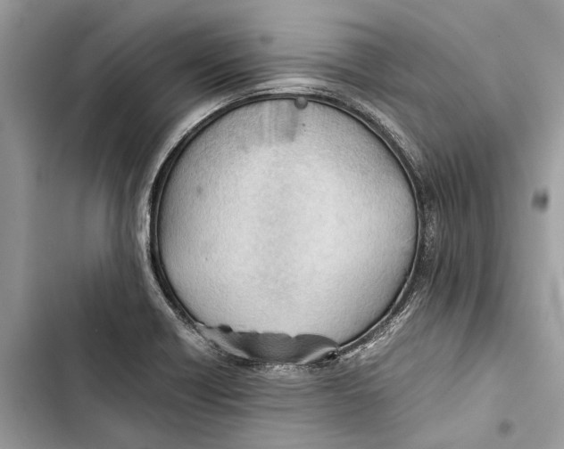 X0000103451418200810031425