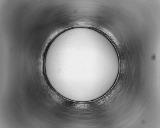 X0000103451419200810031425