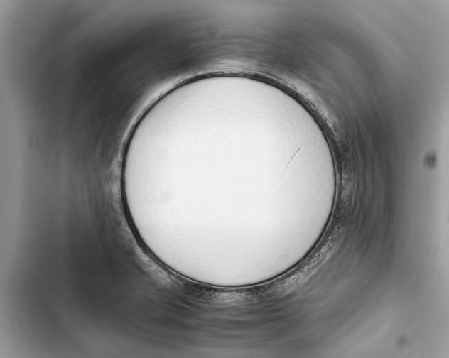 X0000103451421200810031425