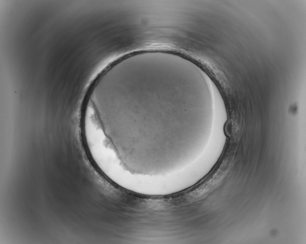 X0000103451422200810031425