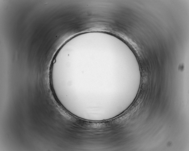 X0000103451423200810031425