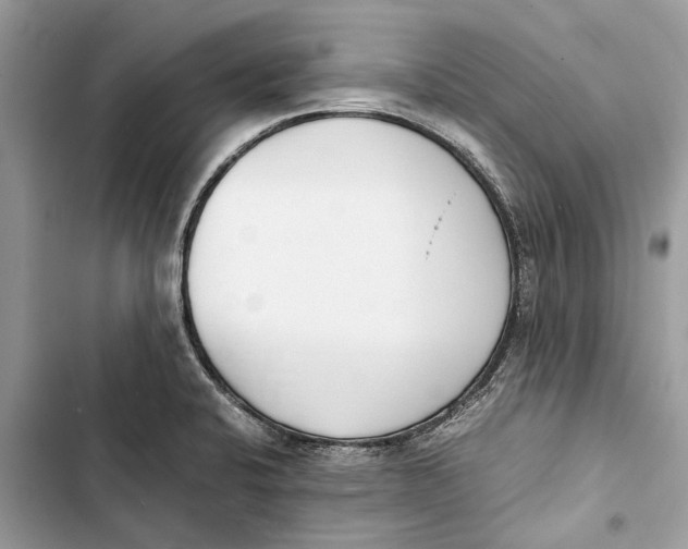 X0000103451424200810031425