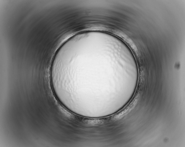 X0000103451425200810031425