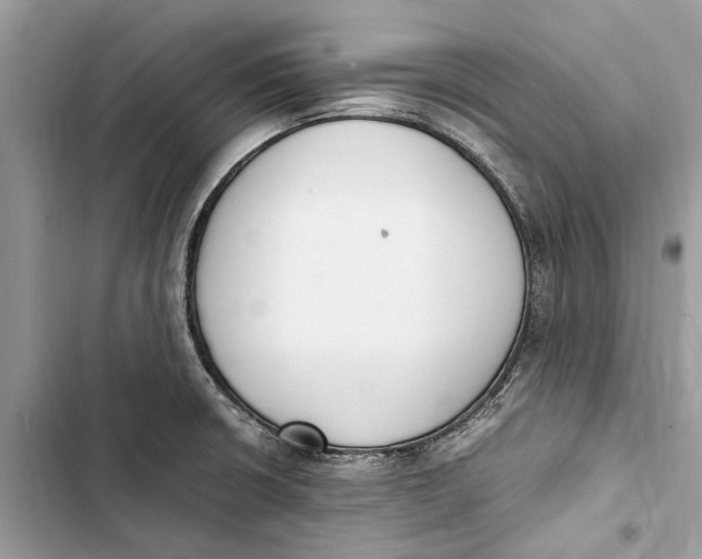 X0000103451426200810031425