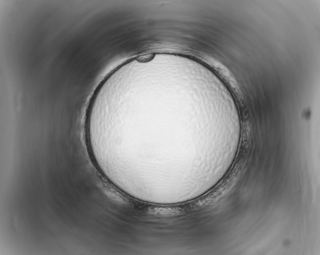 X0000103451427200810031425