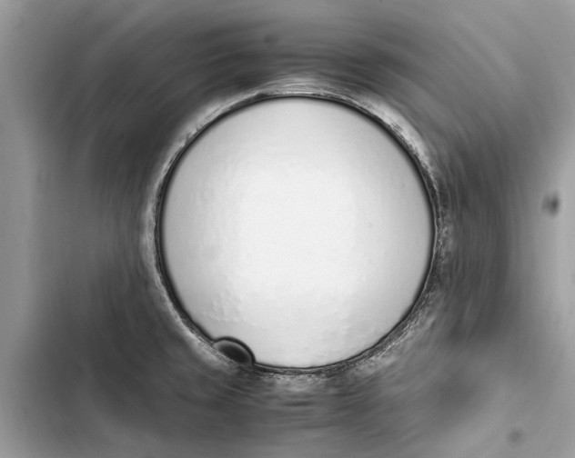 X0000103451429200810031425