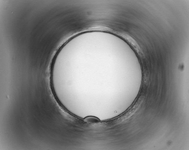 X0000103451430200810031426