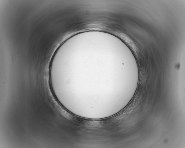 X0000103451431200810031426