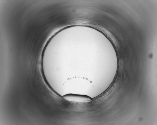 X0000103451432200810031426