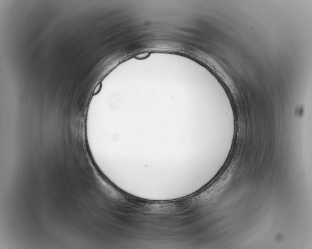 X0000103451433200810031426