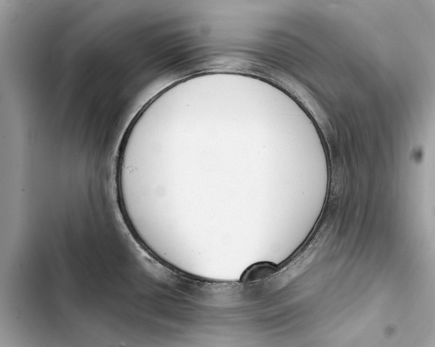 X0000103451434200810031426