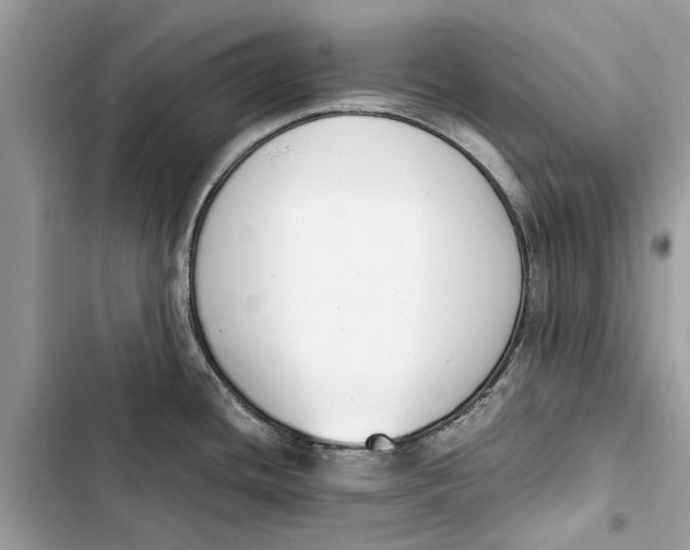 X0000103451436200810031426