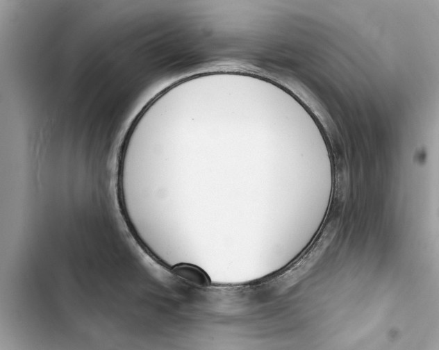 X0000103451438200810031426