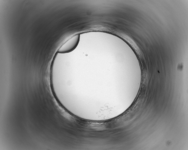 X0000103451439200810031426