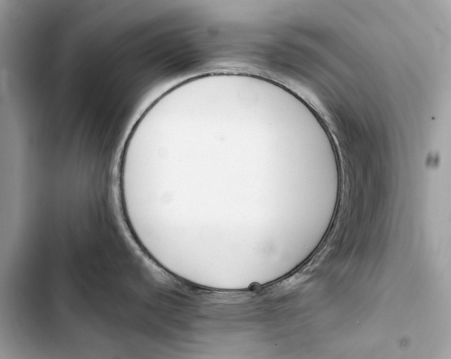 X0000103451440200810031426