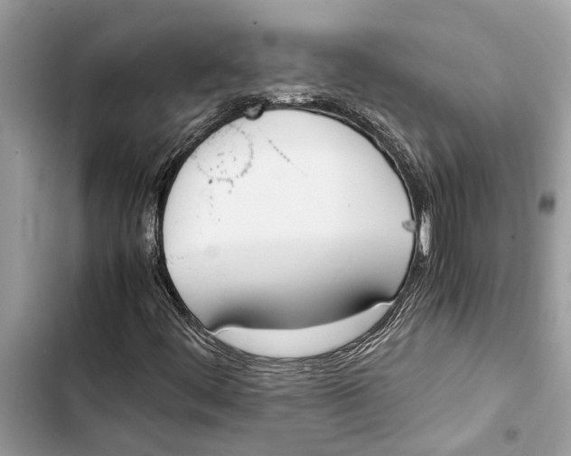 X0000103451444200810031425