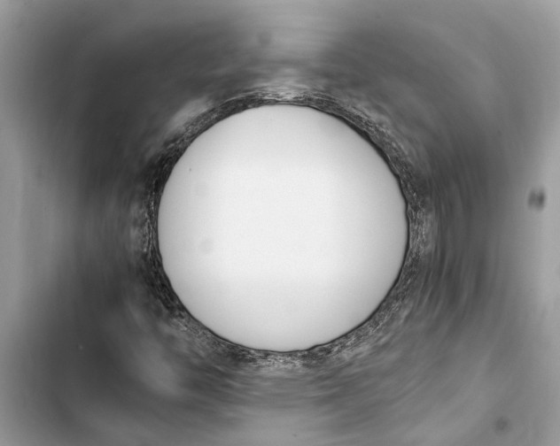 X0000103451446200810031425