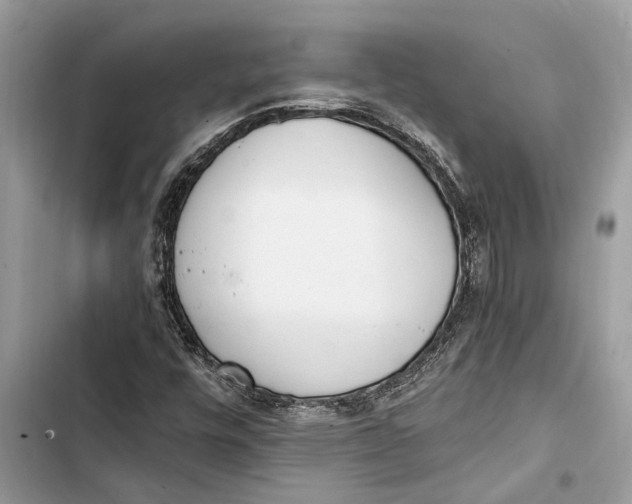 X0000103451448200810031425