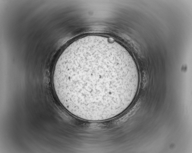 X0000103451449200810031425