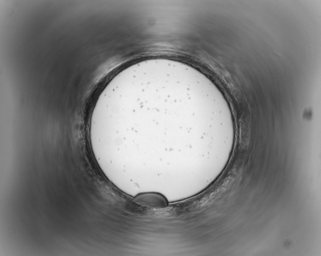 X0000103451453200810031425