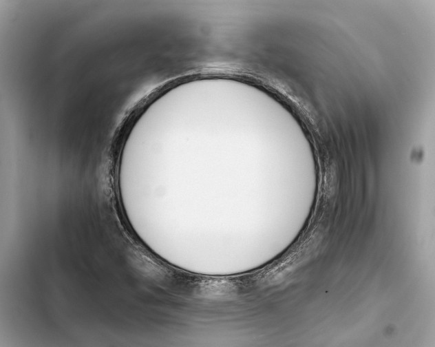 X0000103451454200810031425