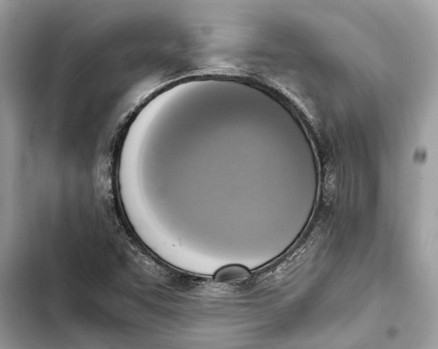 X0000103451455200810031425