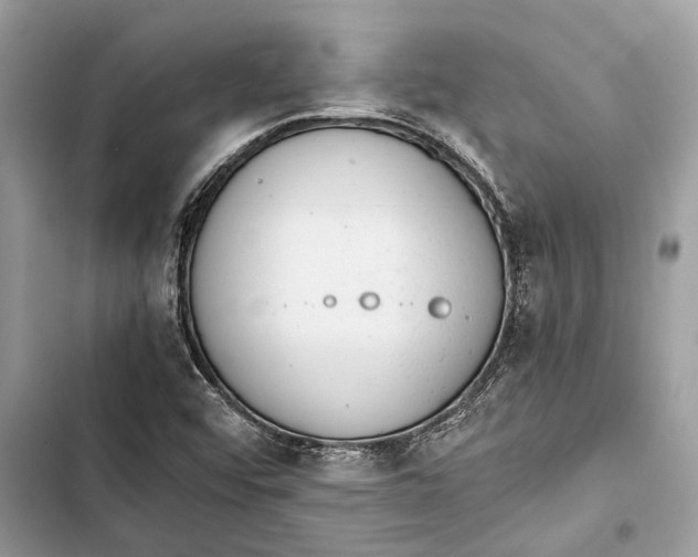 X0000103451456200810031425