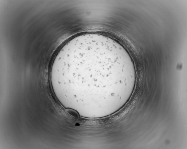 X0000103451457200810031425