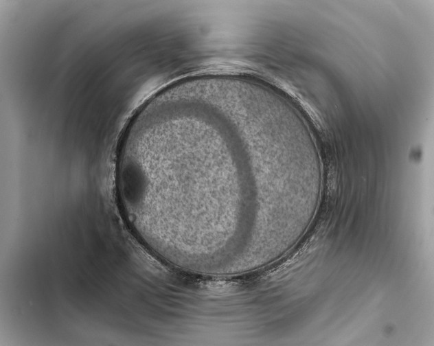 X0000103451459200810031425