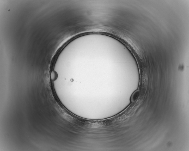 X0000103451460200810031425