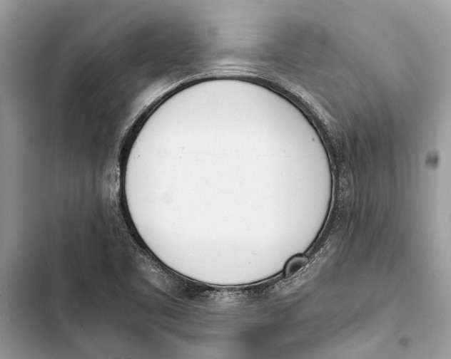 X0000103451461200810031425