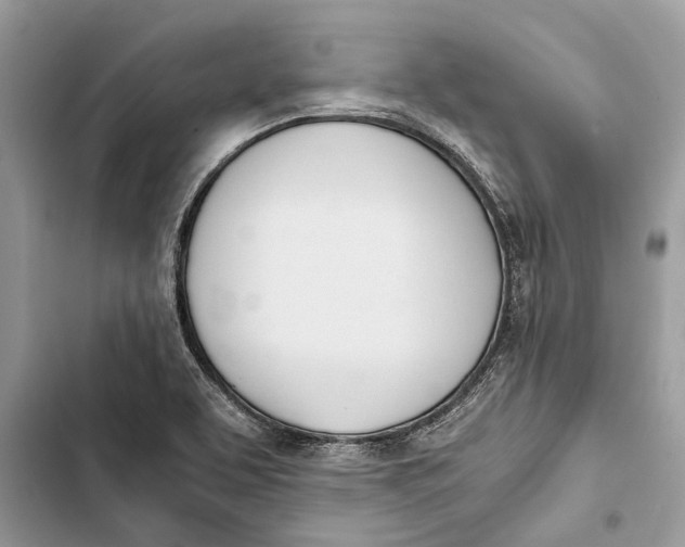 X0000103451463200810031425