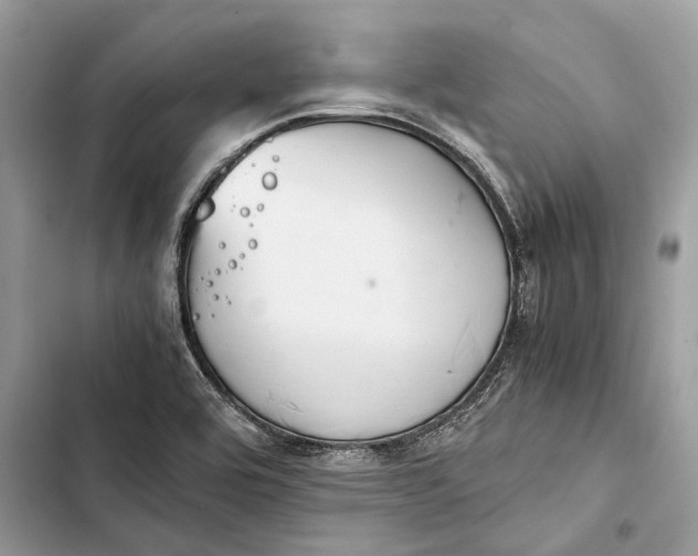 X0000103451464200810031425