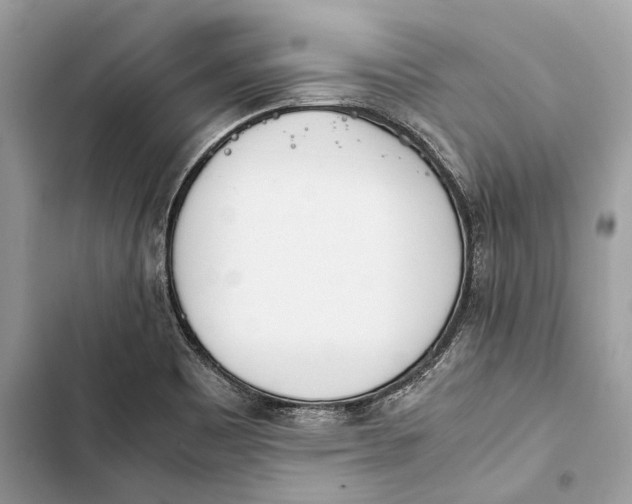 X0000103451465200810031425