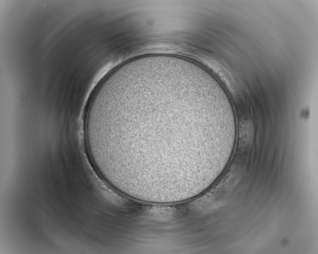 X0000103451466200810031425