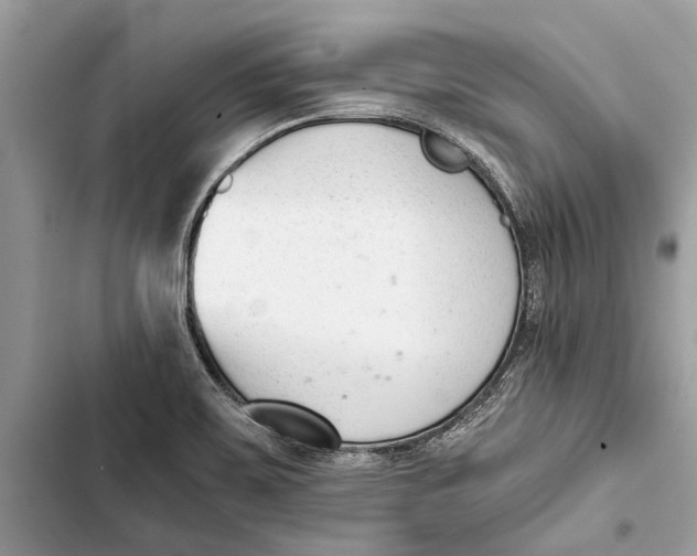 X0000103451467200810031425