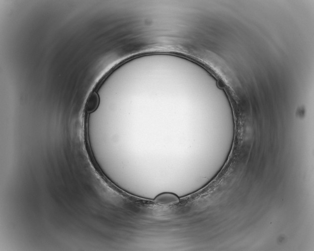 X0000103451468200810031425